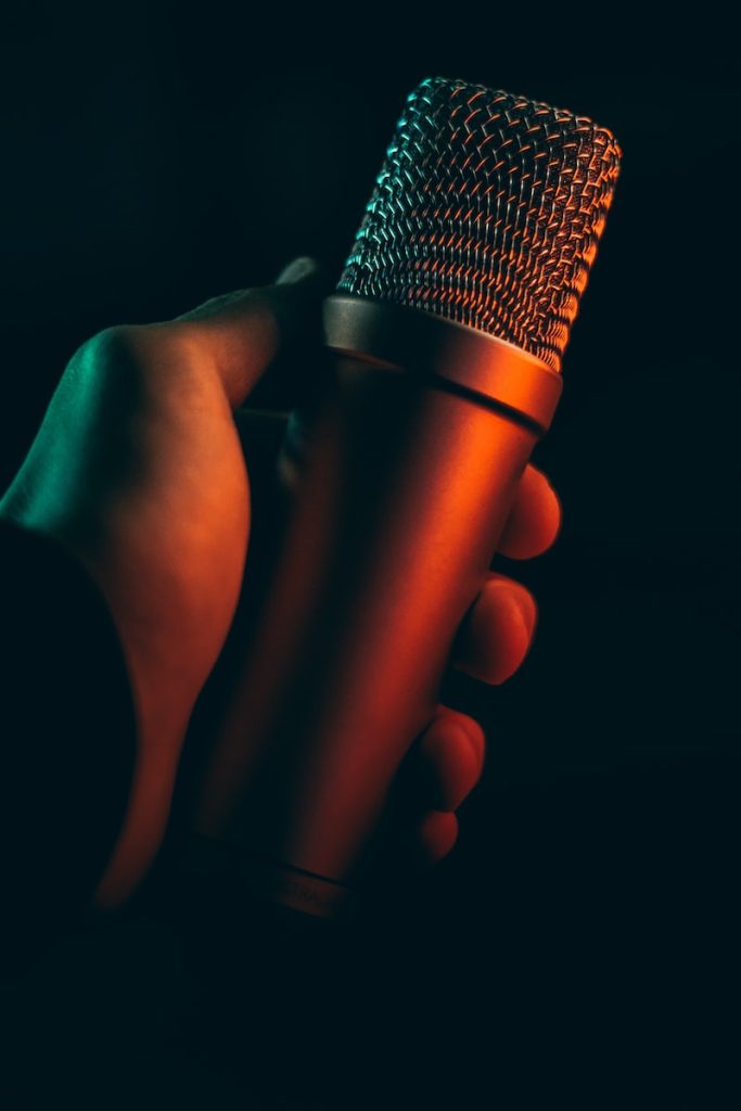 Photo by David von Diemar gray microphone