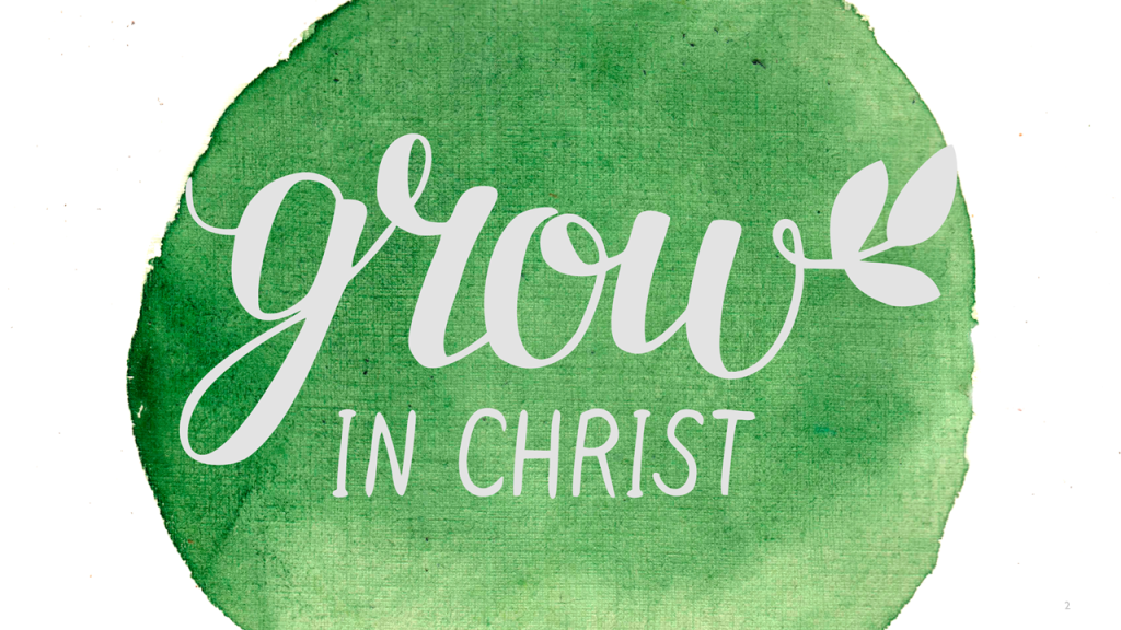 Discipleship and Spiritual Growth