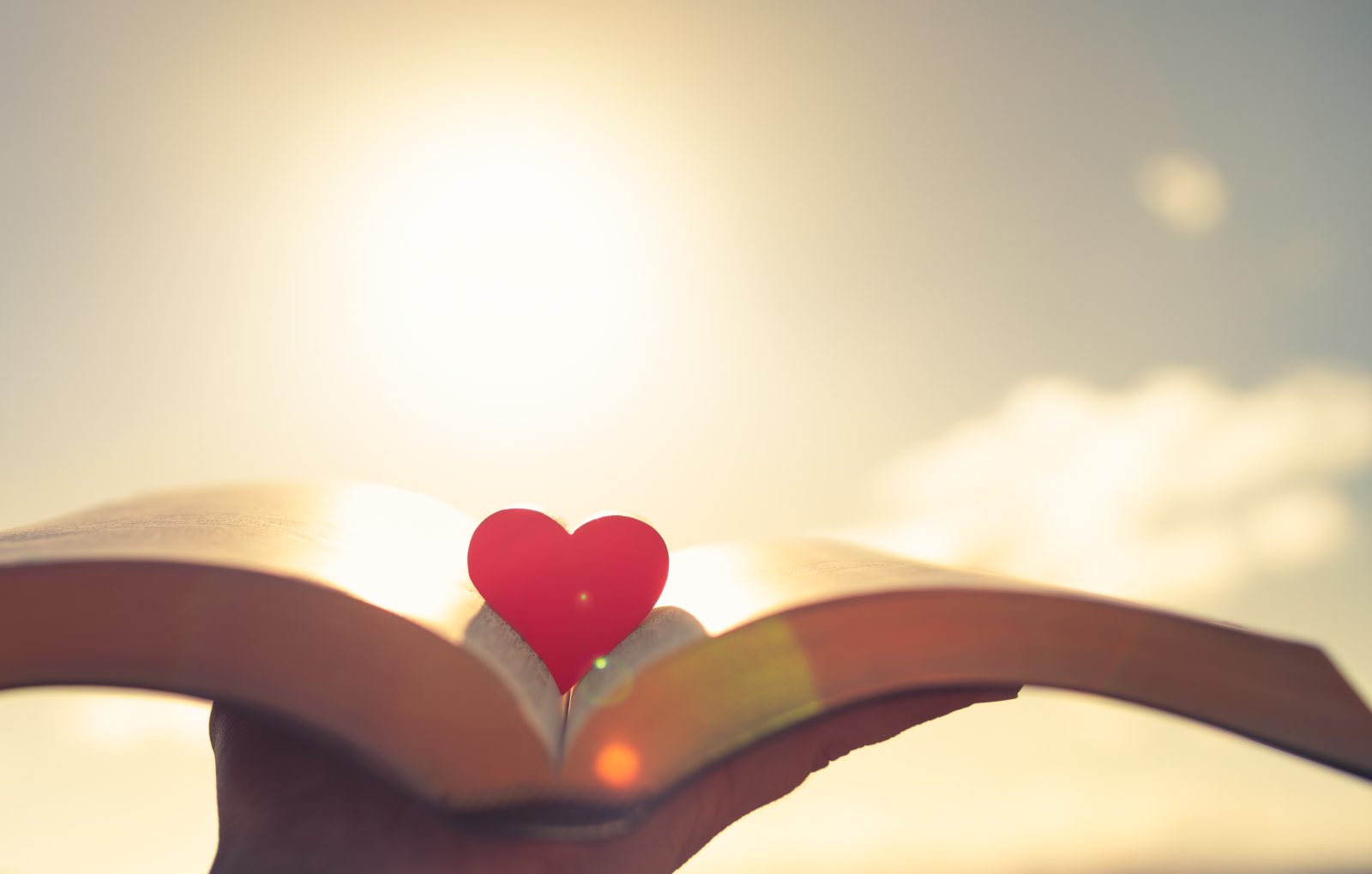 Open book with heart in the middle. religion, love and knowledge concept Open book with heart in the middle. religion, love and knowledge concept