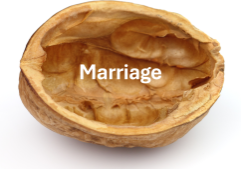 nutshell